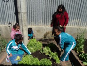 Niños de la IE 419 trabajando en el huerto  escolar